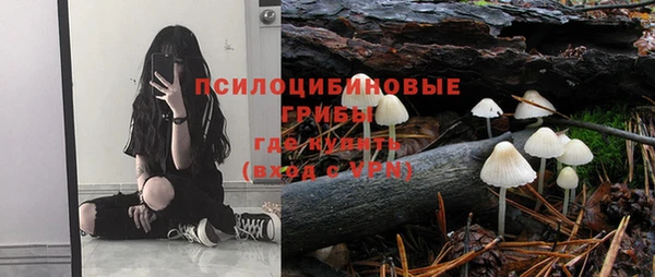apvp Балабаново
