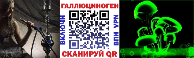 MEGA как зайти  Краснообск  Галлюциногенные грибы прущие грибы 